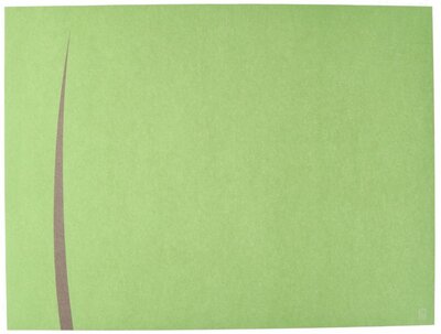 Europochette Placemats BARI Pistache - Brown 4x250st.